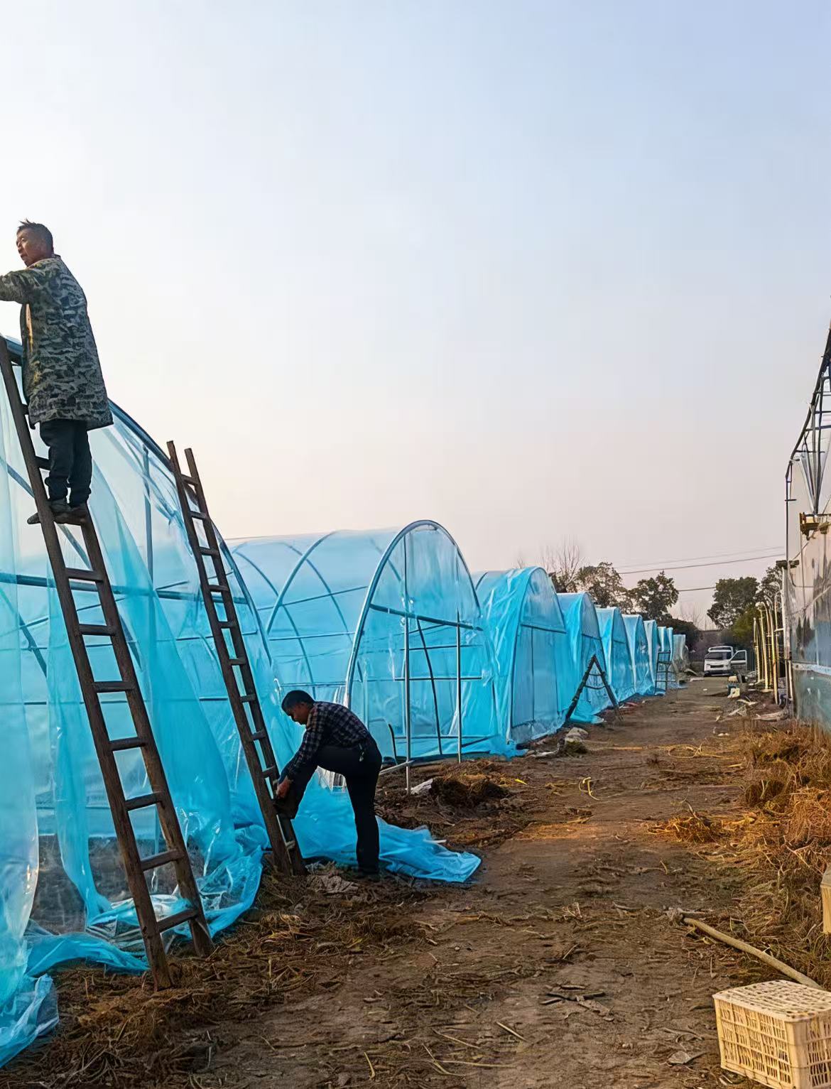 湖北阳新县荆头山蔬菜种植基地