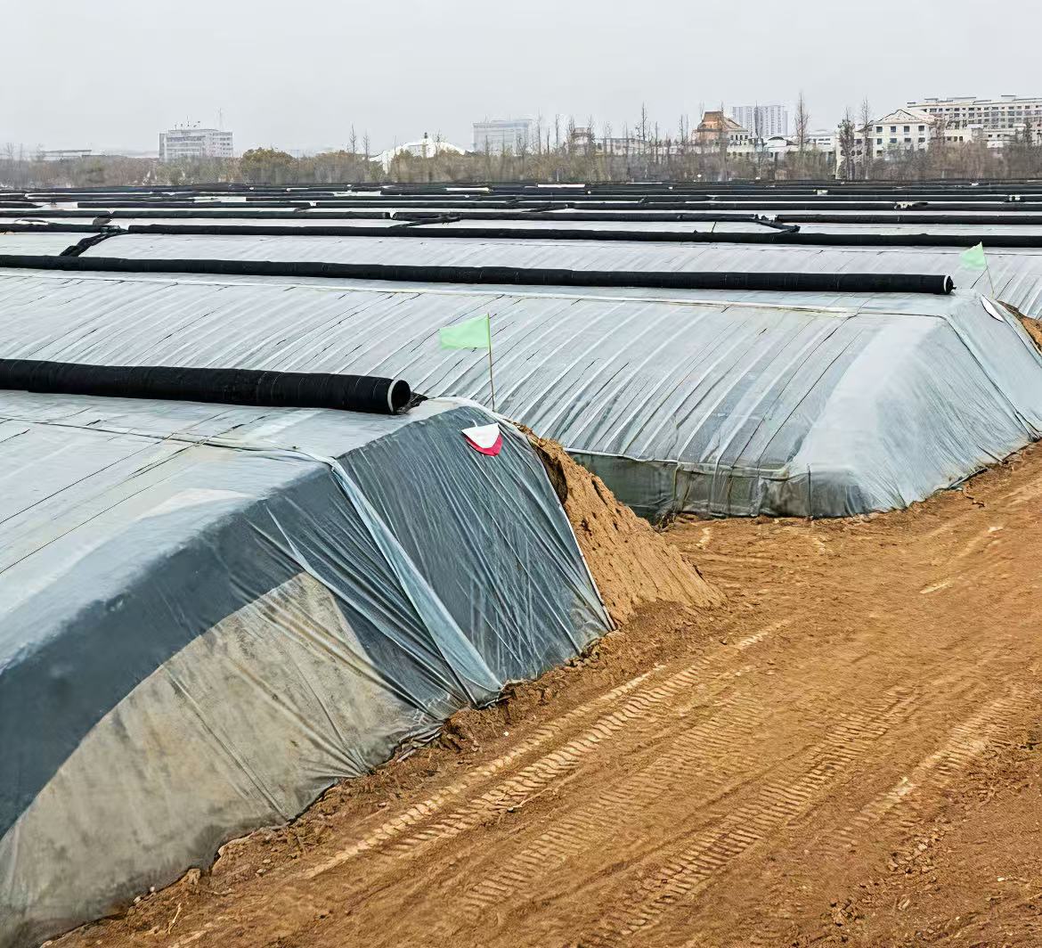 内蒙古巴彦淖尔农业产业园